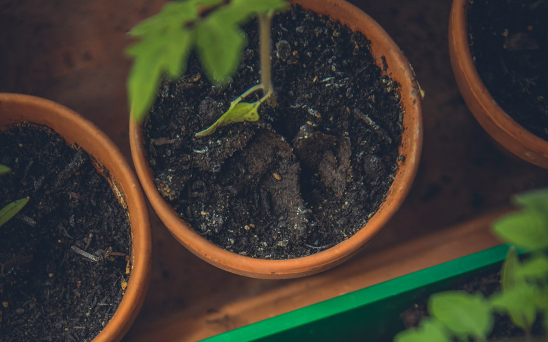 Help Me Grow Inland Empire