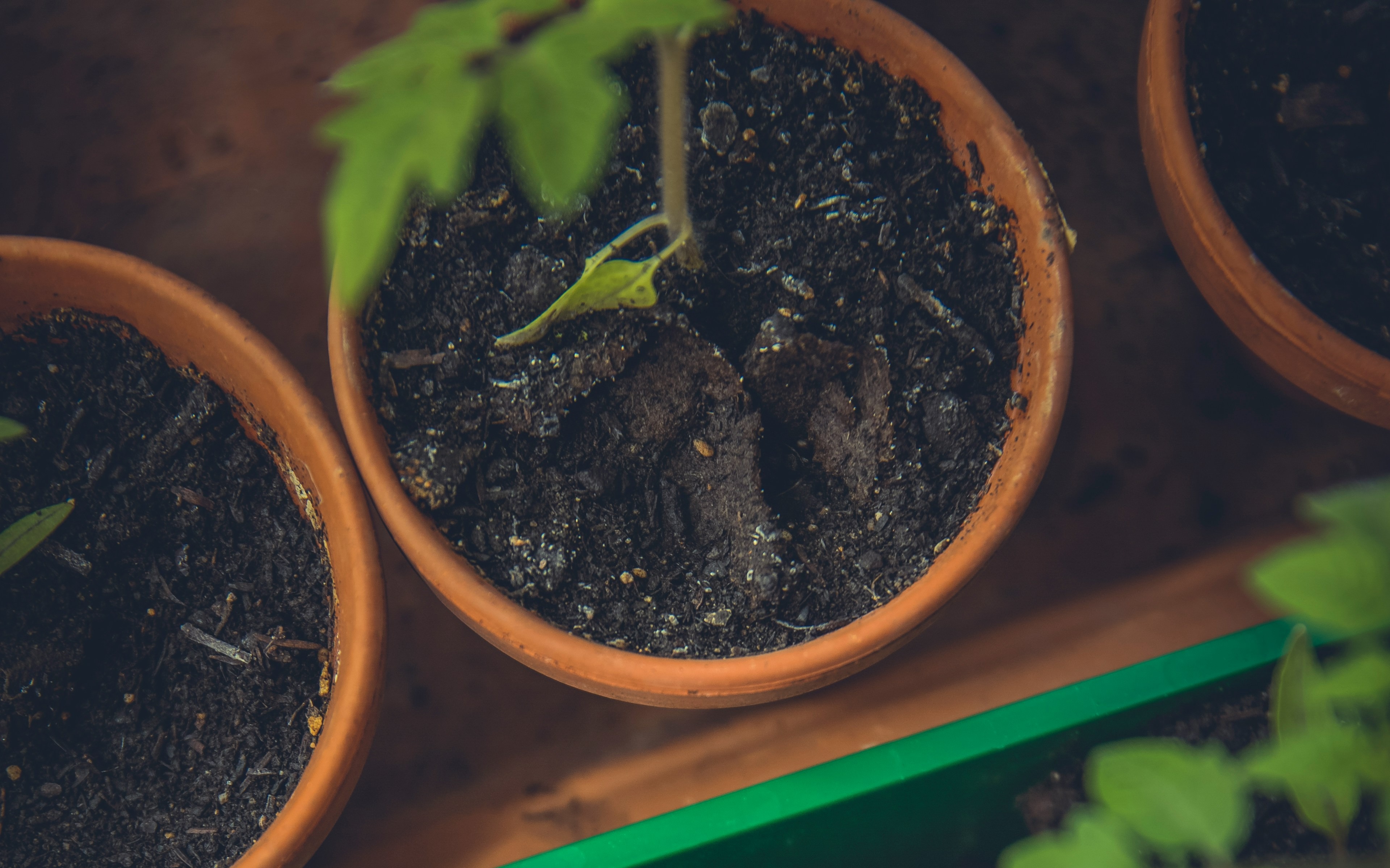 Help Me Grow Inland Empire